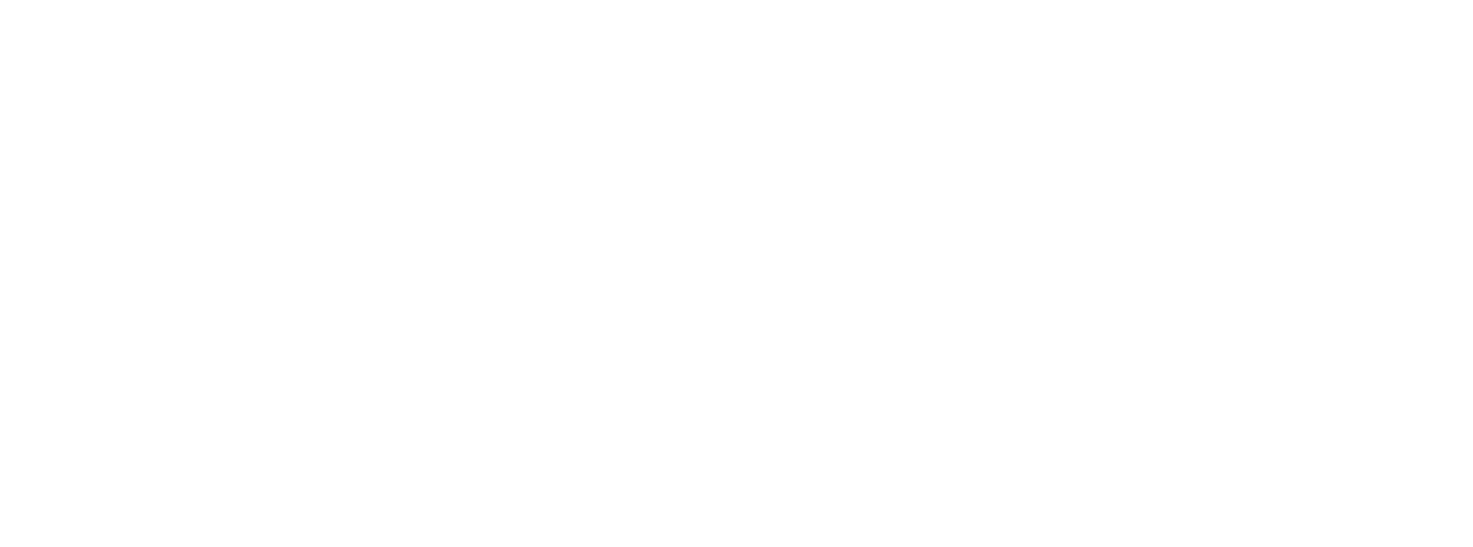 LINX Consulting